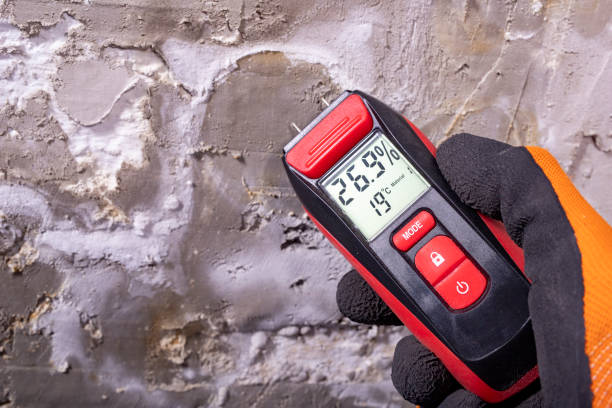 Home Mold Removal in Saranac, MI