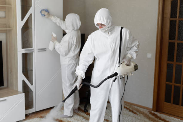 Best Mold Testing  in Saranac, MI