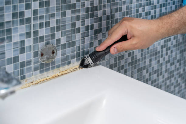 Best Certified Mold Removal  in Saranac, MI