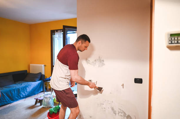 Best Same-Day Mold Removal  in Saranac, MI